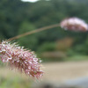 あいかわ公園にて