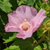 PXL_20220802_030703145