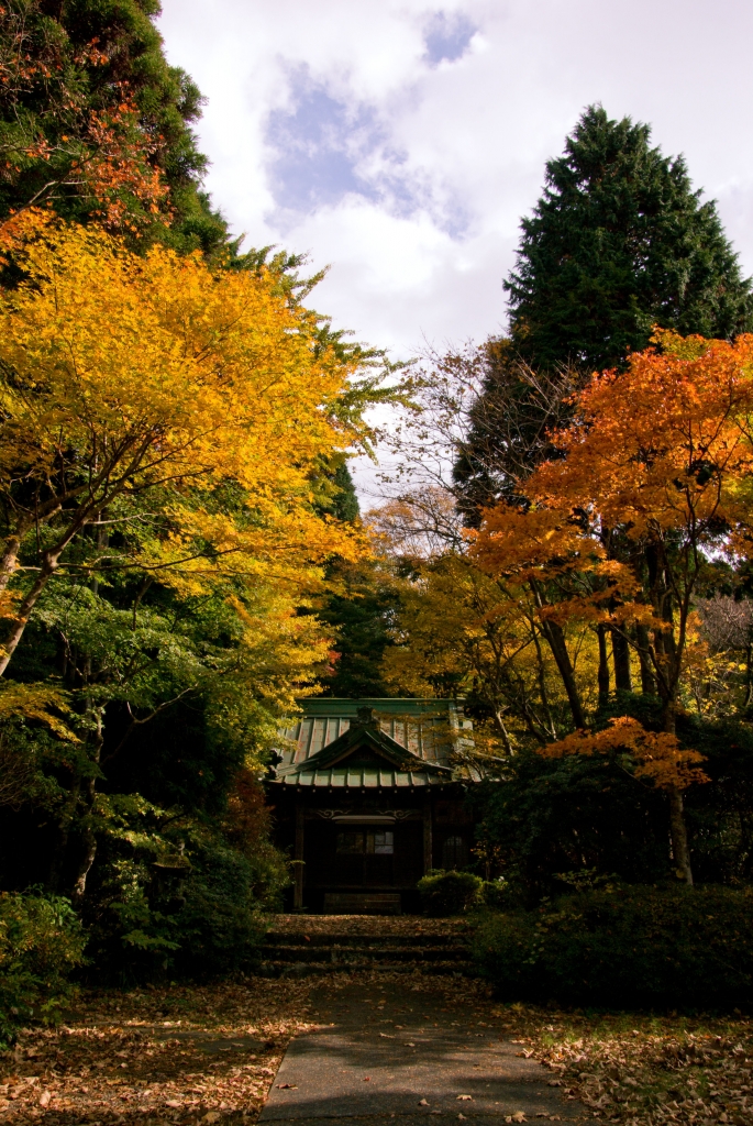 元箱根