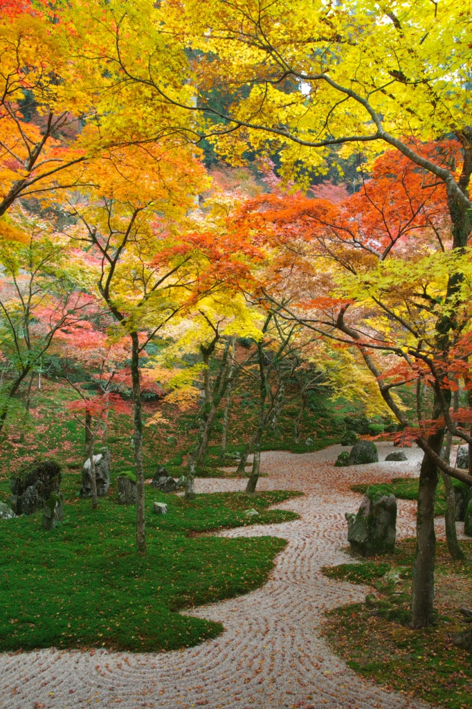 光明禅寺