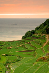 浜野浦の棚田