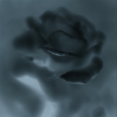 905