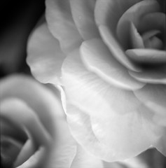 082