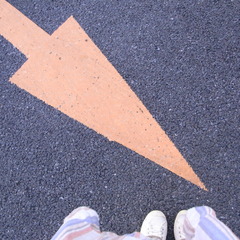 示す