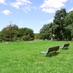 晴れ