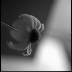 056