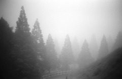 濃霧