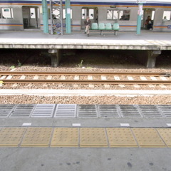RIMG3262