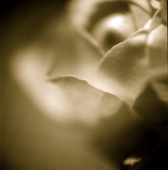 096