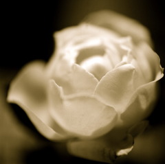 097