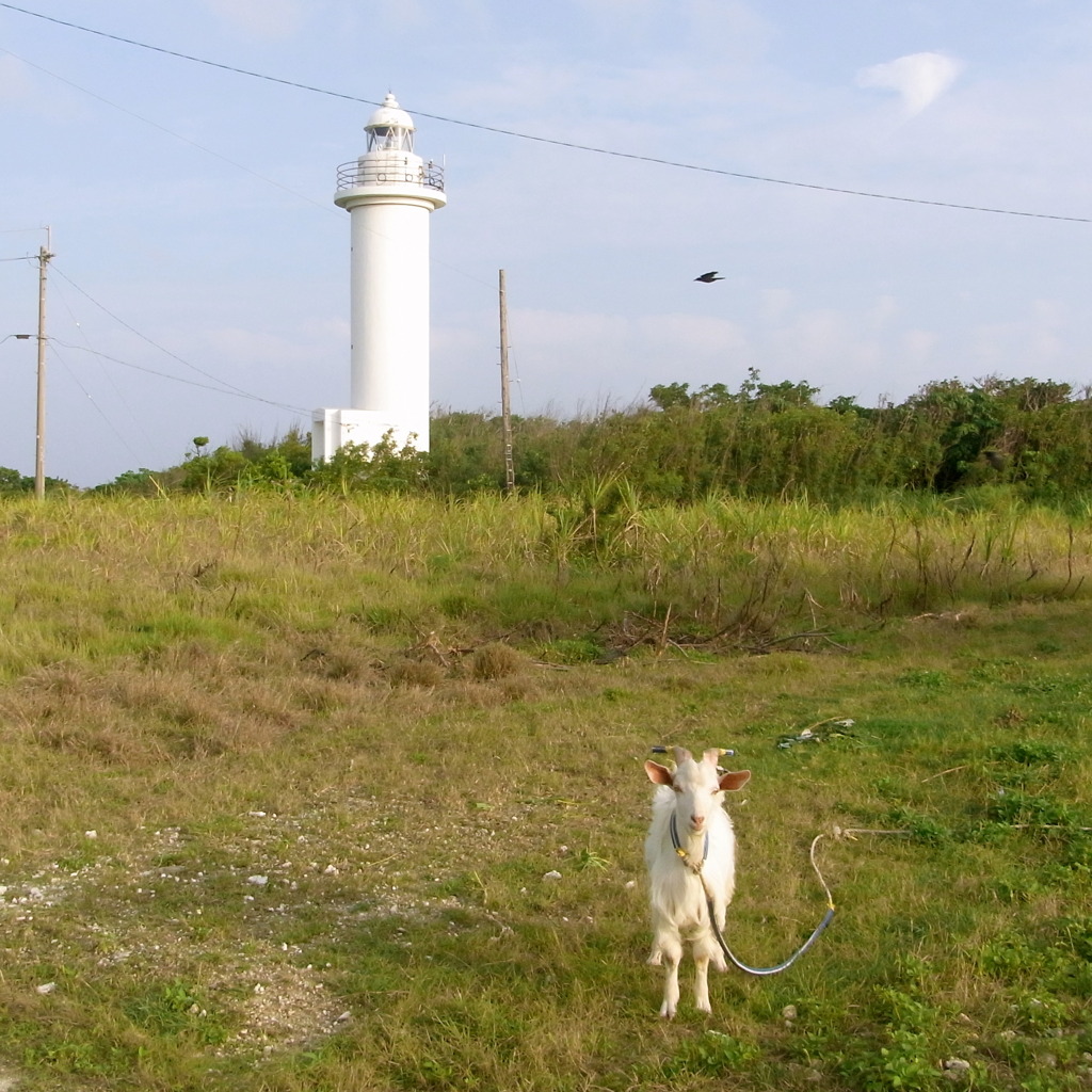 R0013060