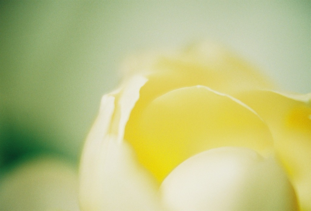 000021