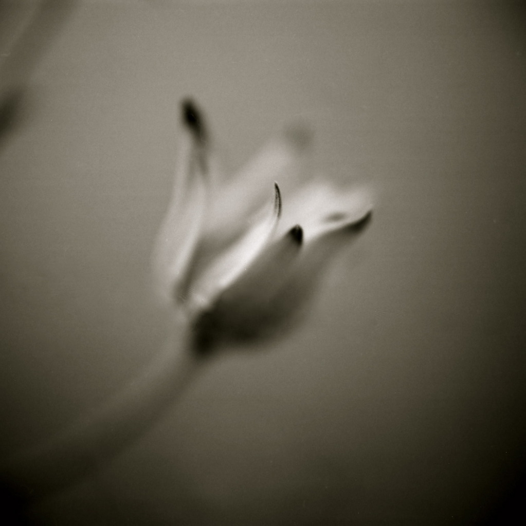 061