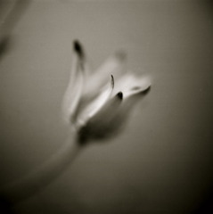 061