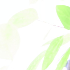 葉