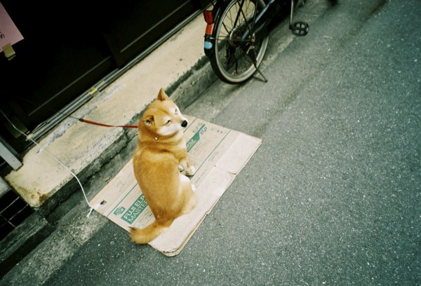 301