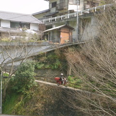 RIMG3286