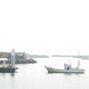 海