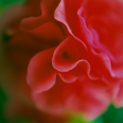 0_0010