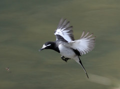 その後は、、、