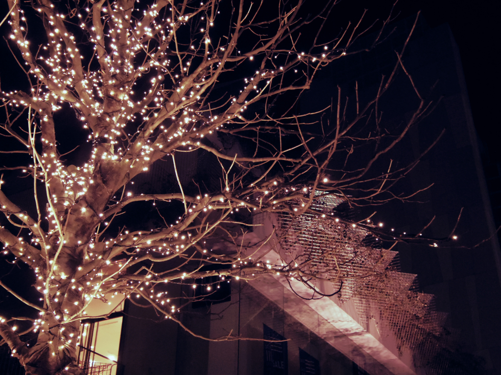 電飾に彩られて