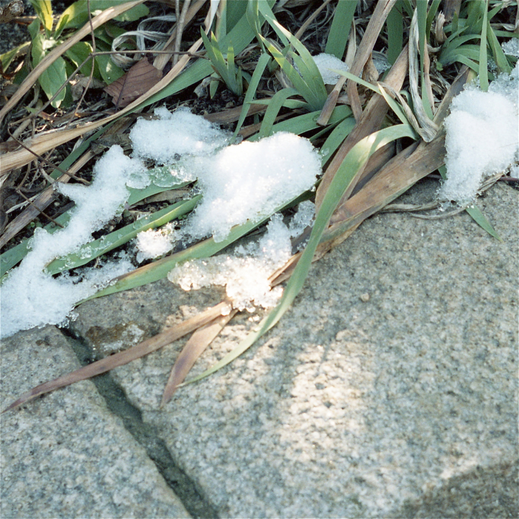 名残り雪