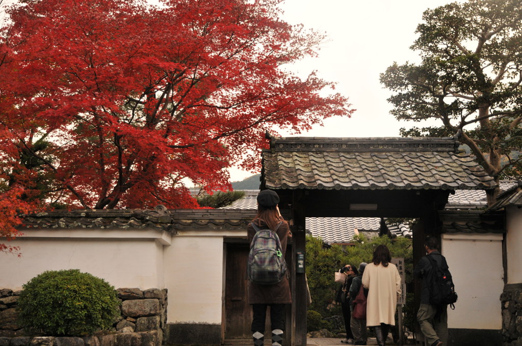 紅葉狩り　in嵐山