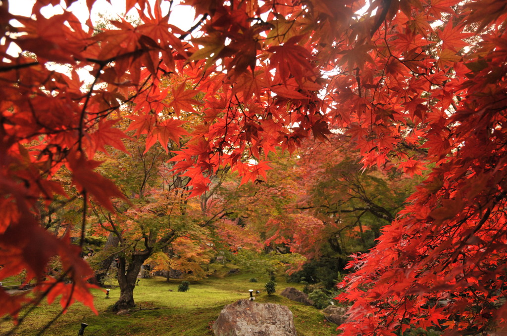 紅葉狩り　in嵐山