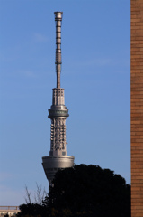skytree and bricks