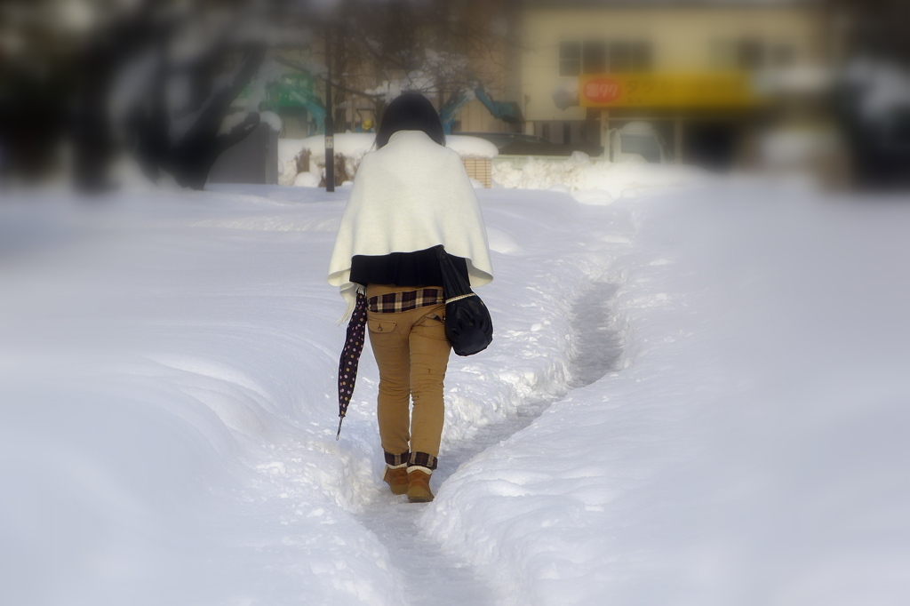 雪細道