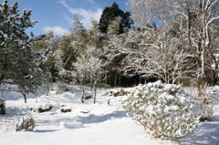 雪景色