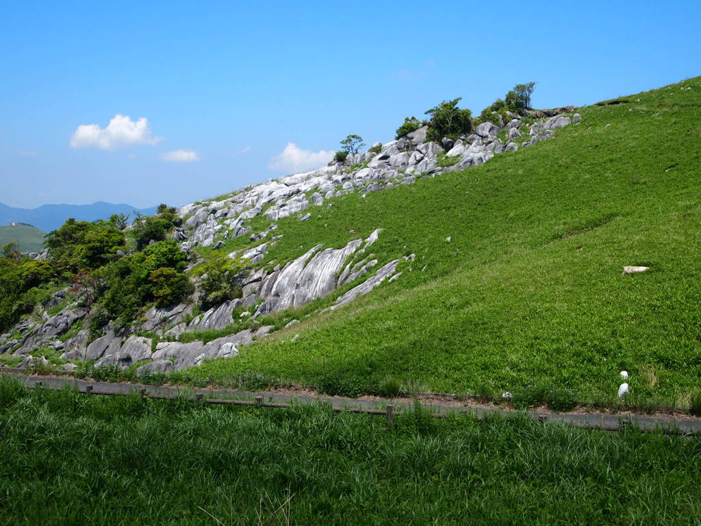 平尾台