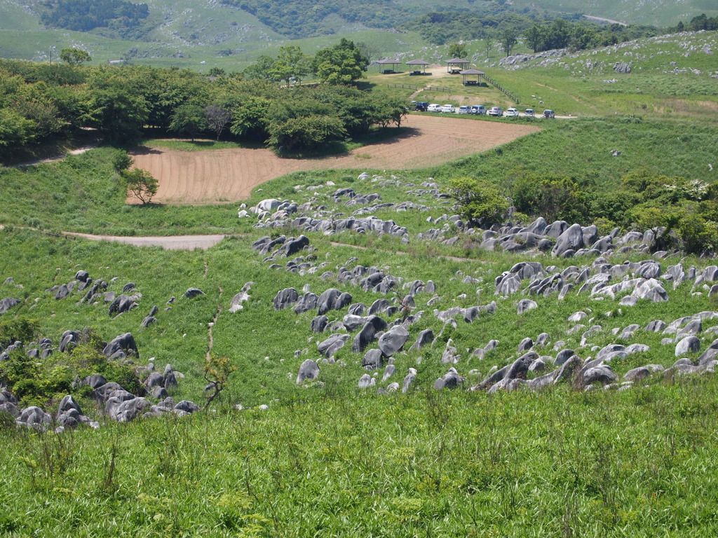 平尾台