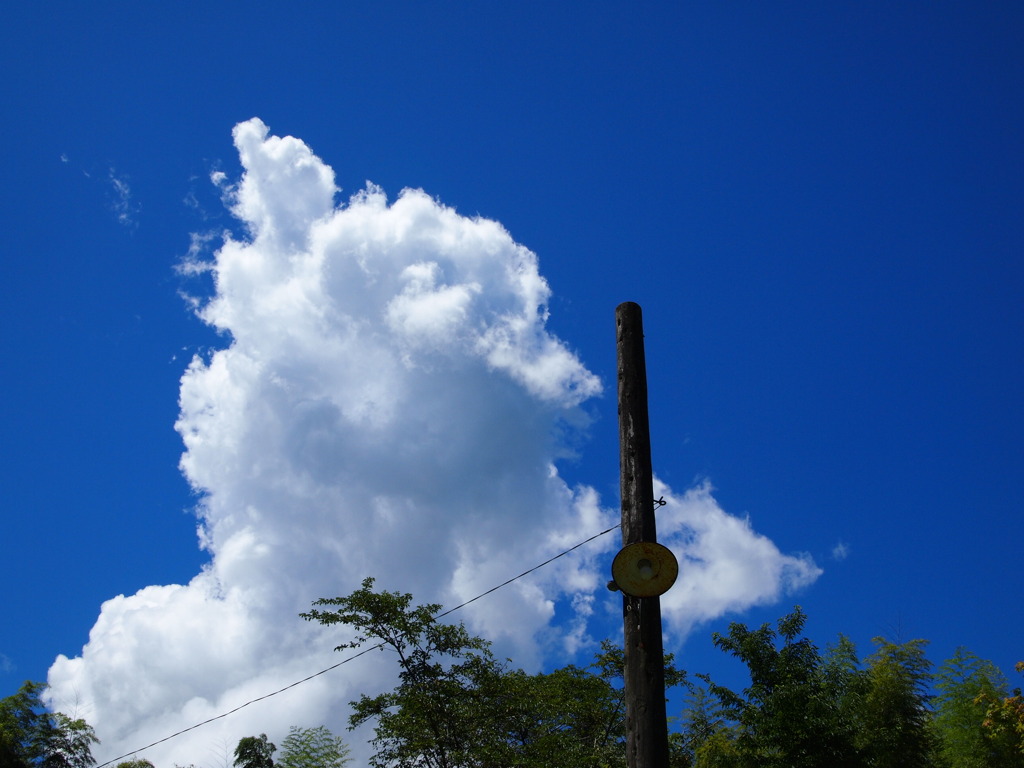 夏空