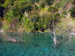 野呂川　春