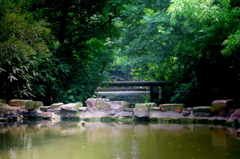 初夏の風景