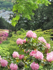 三室戸寺にて