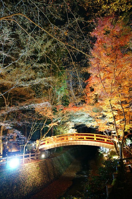 北野天満宮もみじ苑にて