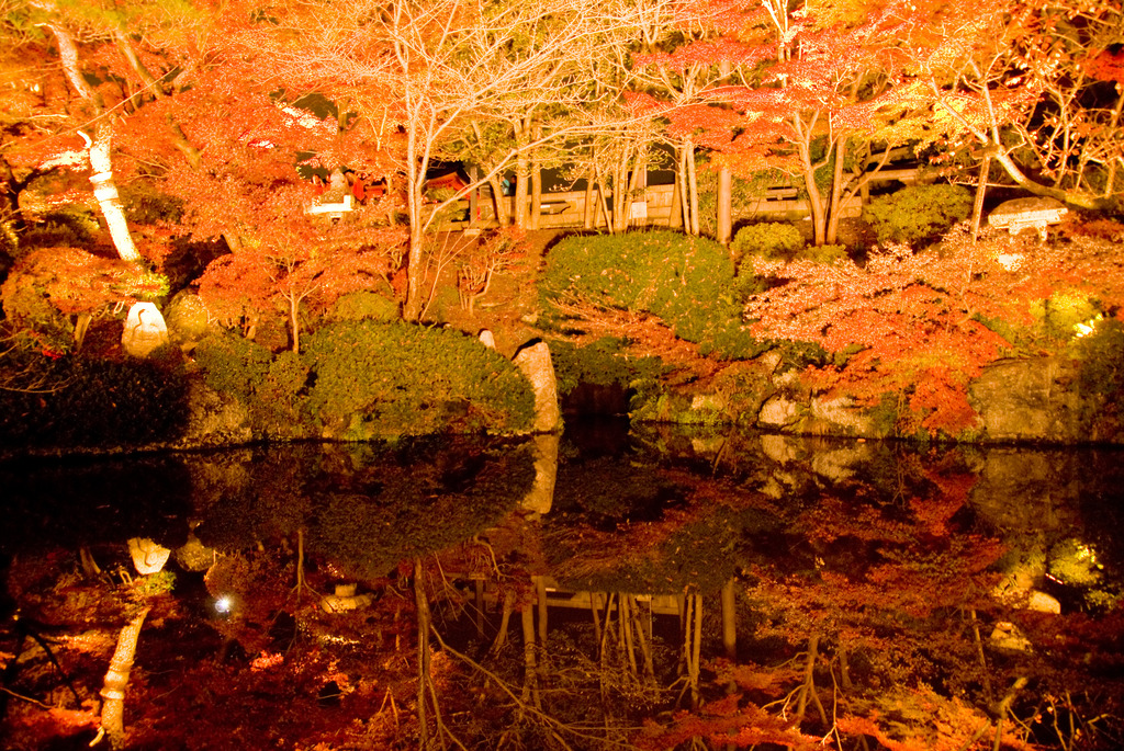 清水寺 池 紅葉