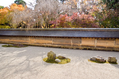 龍安寺 石庭