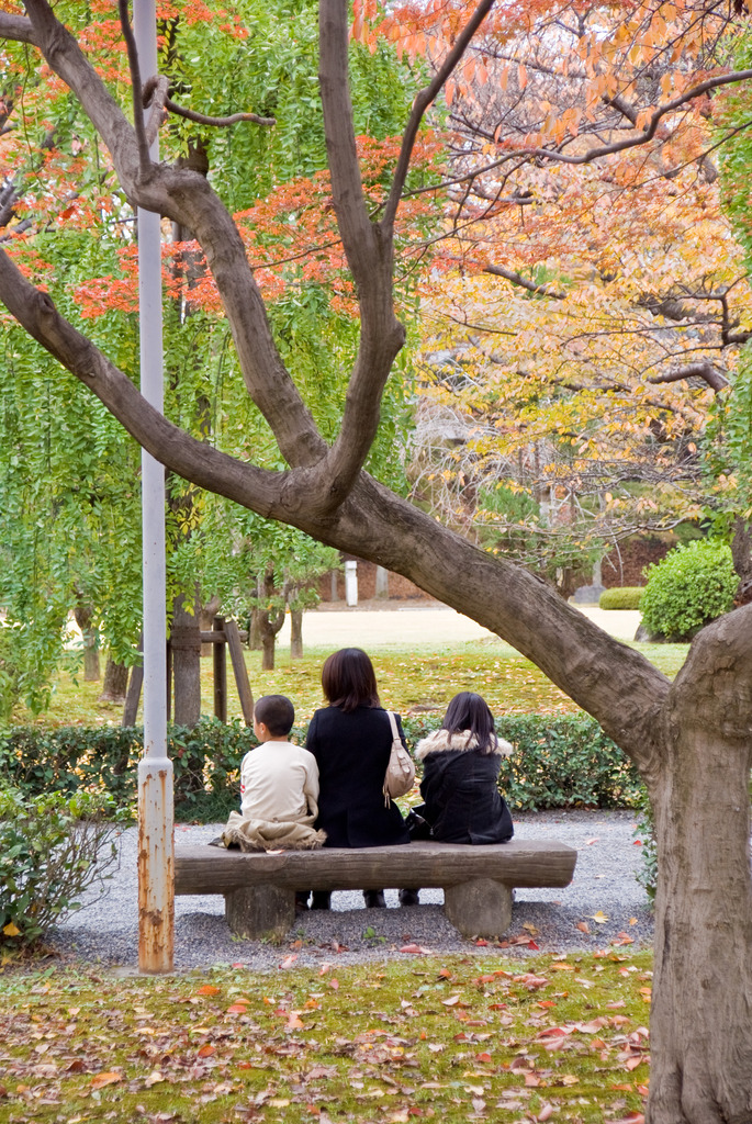 二条城 清流園 4