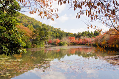 龍安寺 鏡容池