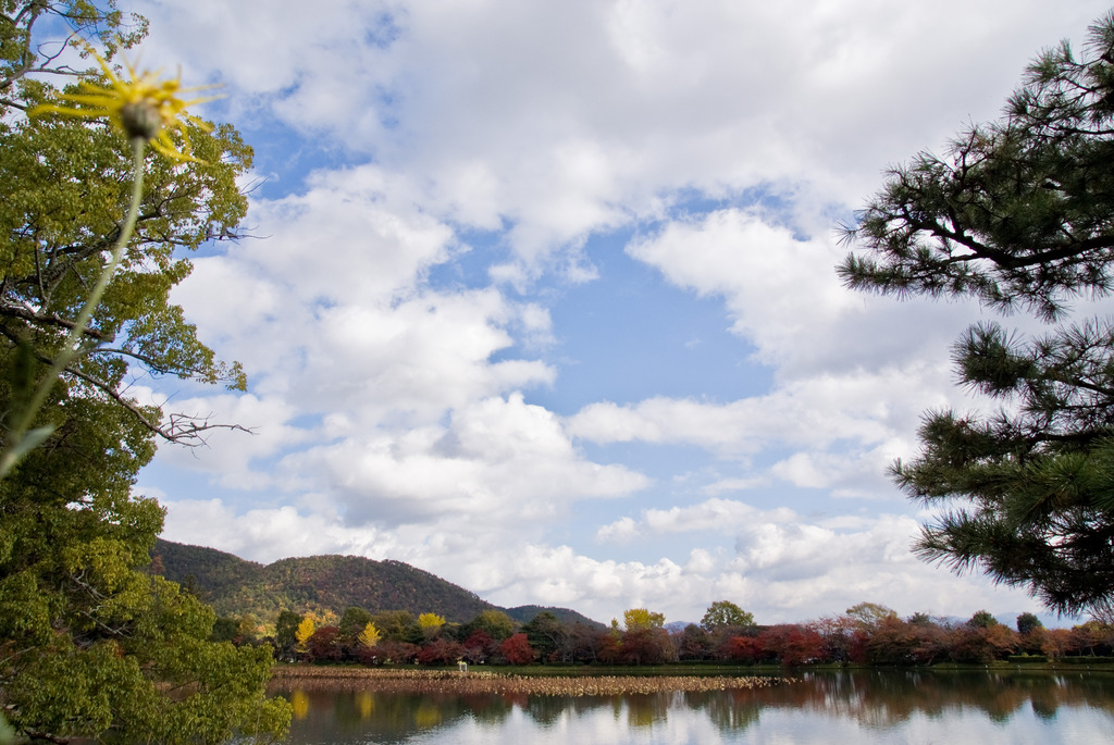 大覚寺 大沢池