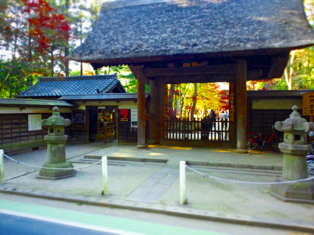 平林寺