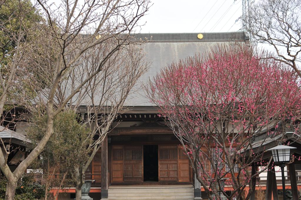 西光寺境内