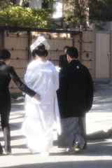 鎌倉の花嫁