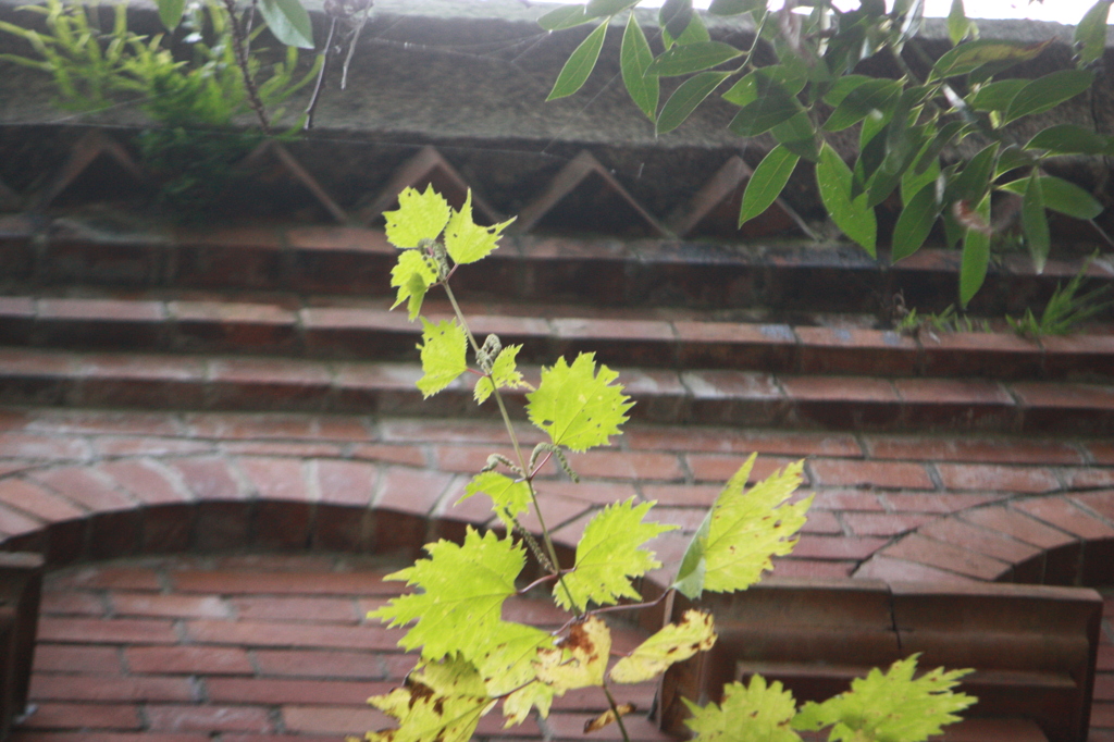 寄り添うものたち