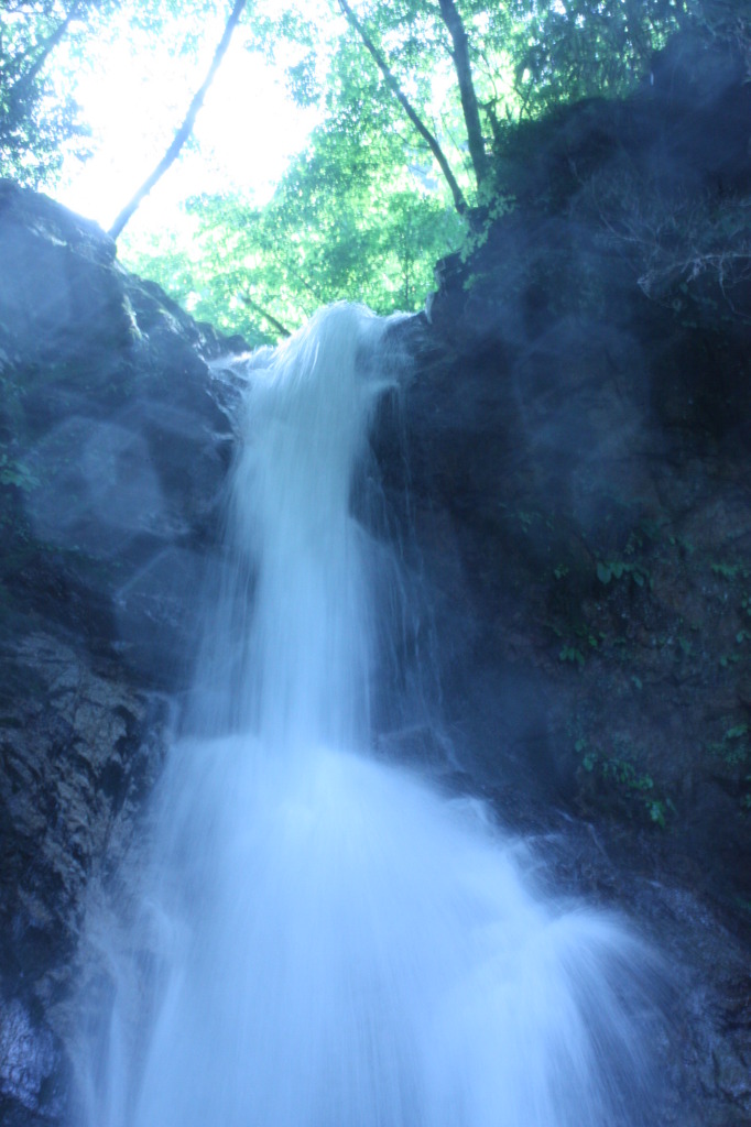 妖精達のｽﾍﾞﾘﾀﾞｲ