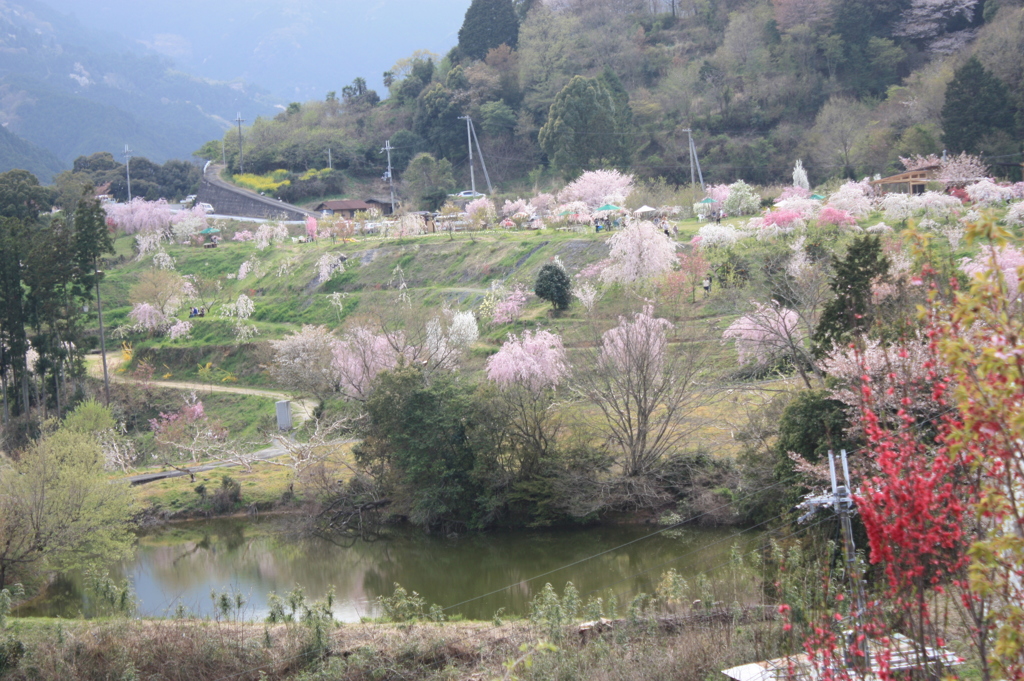 里山