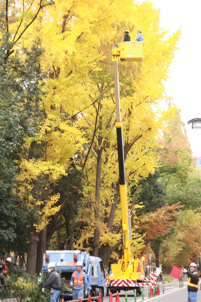 畏敬の念とともに・・・